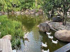 -西双版纳洲际度假酒店-海鲜傣味烧烤·侬香全日制餐厅