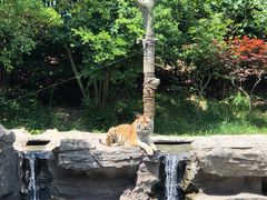 -宁波野生动物园