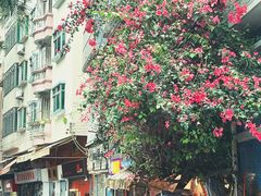 -威远炮台