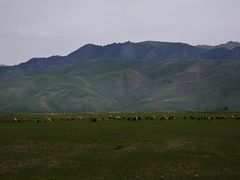 -新疆那拉提国家旅游度假区