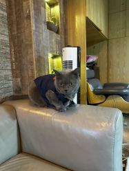 -青木造型HAIR·あおき髪を刈る潮人店