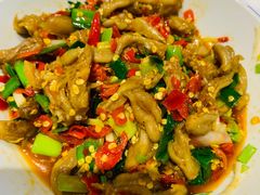 -壹盏灯(惠农店)