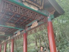 -洛龙公园
