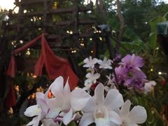 -火咂咂竹筒宴(告庄店)