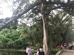 -晓港公园