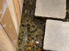 -邈墨茶馆(凤起路店)