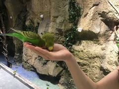 -zoonana室内动物园(东方福来德店)