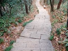 -九曜山
