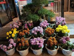 -天怡·鱼工厂(临江店)