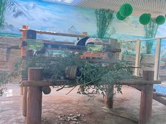 -西霞口神雕山野生动物世界