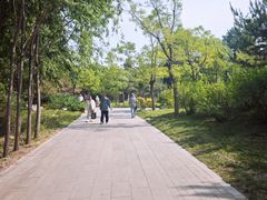 -晋祠公园