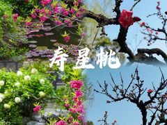 -个园