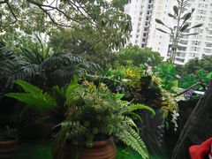 -花漫里餐厅(刺桐店)