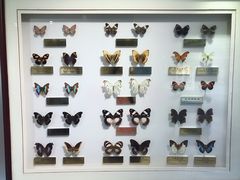 -上海昆虫博物馆