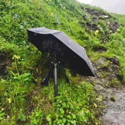 -纳帕海依拉草原