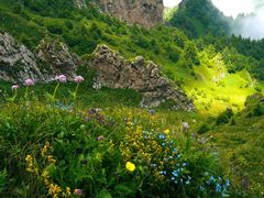 -灵山