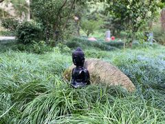 -普陀山雷迪森庄园