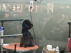 -乐宠宠物店(世纪金源店)