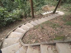 -火炉山森林公园