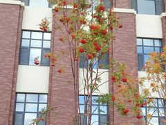 -吉林大学(前卫南区)