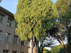 -福建师范大学(仓山校区)