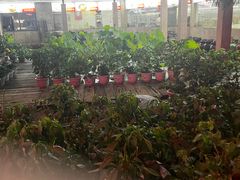 -天怡·鱼工厂(梅溪湖店)