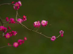 -秀丽东方