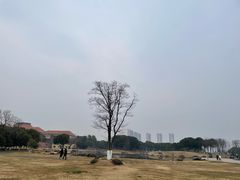 -滆湖低碳生态公园