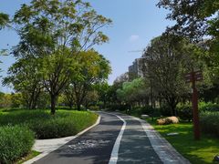 -王借岗森林公园