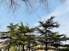 -和平区健康主题公园