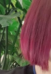 -镁连社·美联社