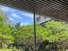 -南宁荔园维景国际酒店·荔园中餐厅