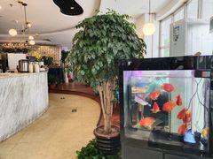 -花舍·新派粤菜·西餐·下午茶(亚运村·鸟巢店)