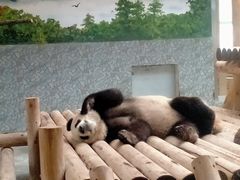 -西安秦岭野生动物园