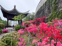 -南京城墙景区