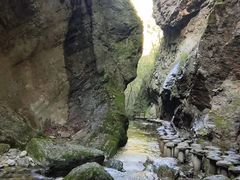-牛背梁国家森林公园