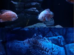 -成都浩海立方海洋公园