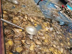鲍鱼-钱库里海鲜自助(星海广场店)