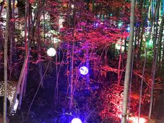 -天目湖御水温泉·度假酒店