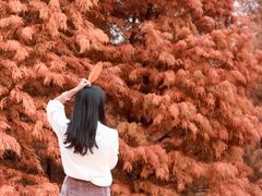 -云溪植物园