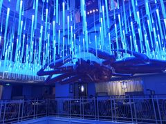 -蟹之国·精品蟹料理(极地店)