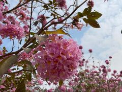 -上楼私房菜(院士路店)