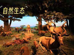 -国家自然博物馆