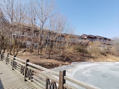 -青岛大珠山景区