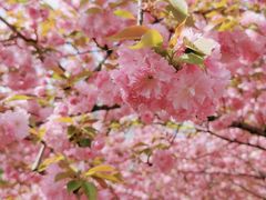 -白塘生态植物园