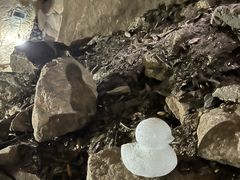 -秦岭终南山世界地质公园翠华山景区