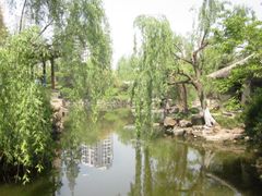 -水绘园