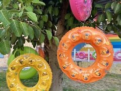 -巨鹏飞梦幻海岸