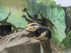 -上海野生动物园