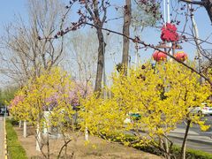 -清真喜兰老丁羊汤特色小吃